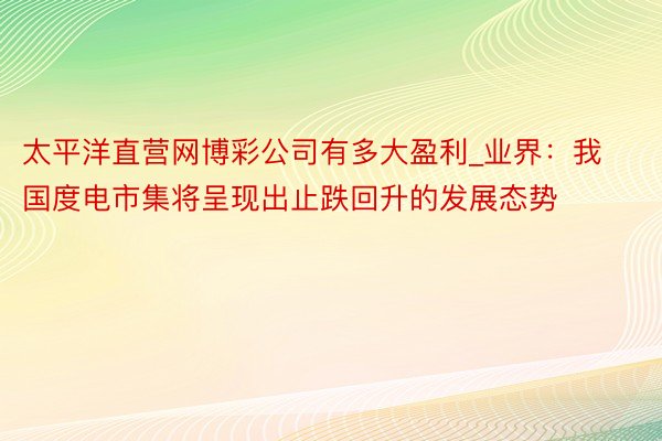 太平洋直营网博彩公司有多大盈利_业界：我国度电市集将呈现出止跌回升的发展态势