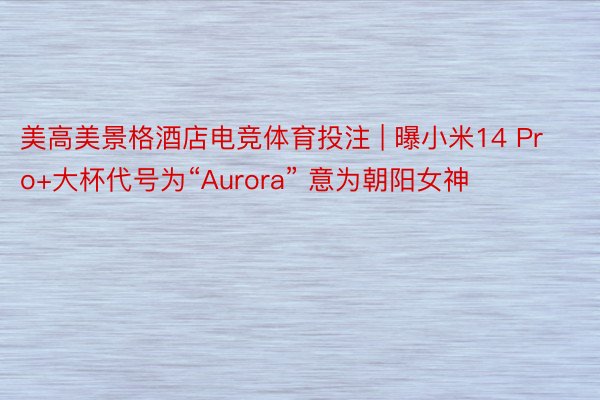 美高美景格酒店电竞体育投注 | 曝小米14 Pro+大杯代号为“Aurora” 意为朝阳女神