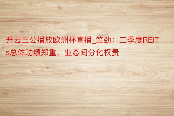 开云三公播放欧洲杯直播_竺劲：二季度REITs总体功绩郑重，业态间分化权贵