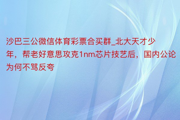 沙巴三公微信体育彩票合买群_北大天才少年，帮老好意思攻克1nm芯片技艺后，国内公论为何不骂反夸